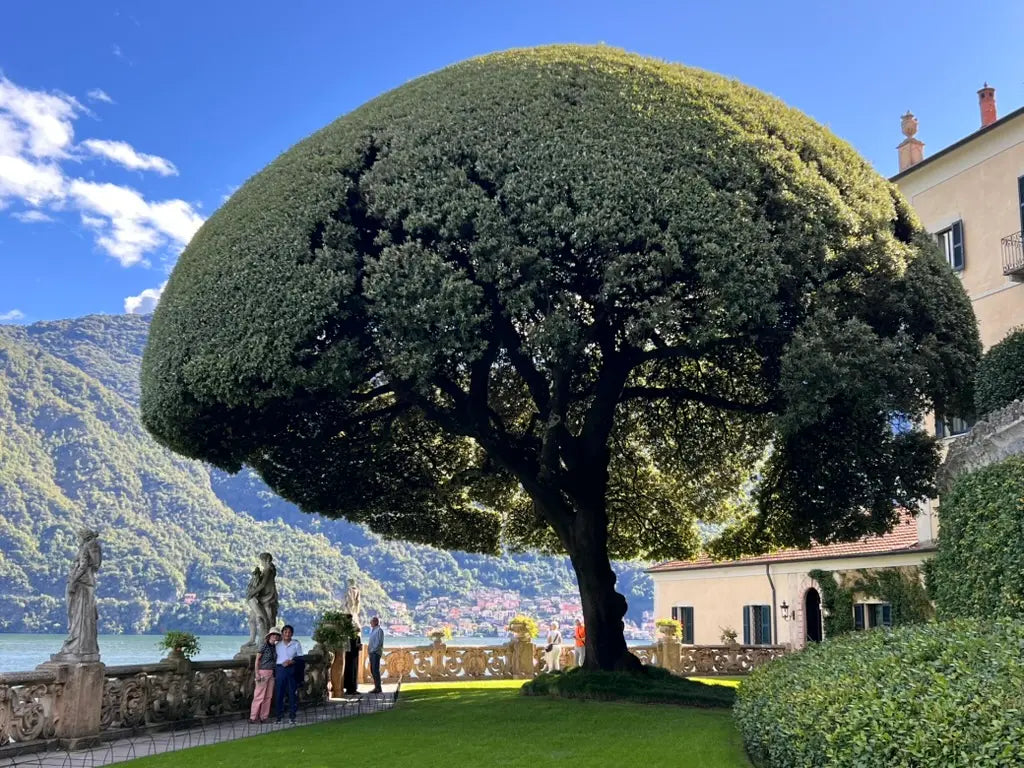 The Pearl, Off-Season: Finding Lake Como Without the Crowds