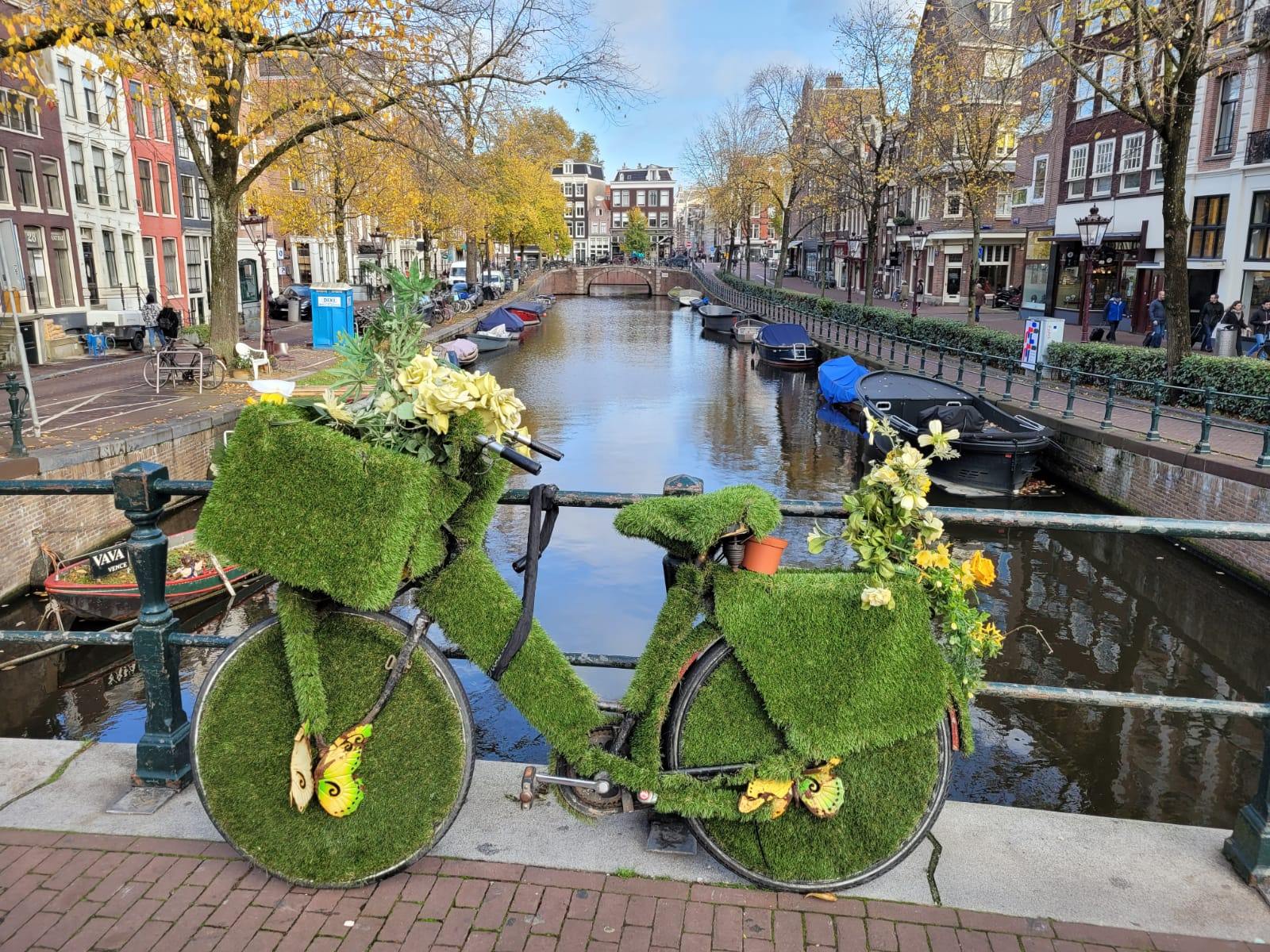 The Netherlands: Tulips, Canals, and the Art of Wandering Alone