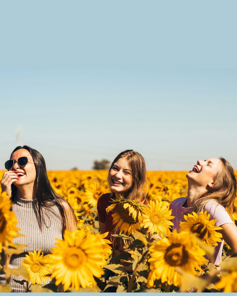 A photo of three women smiling in a patch of sunflowers